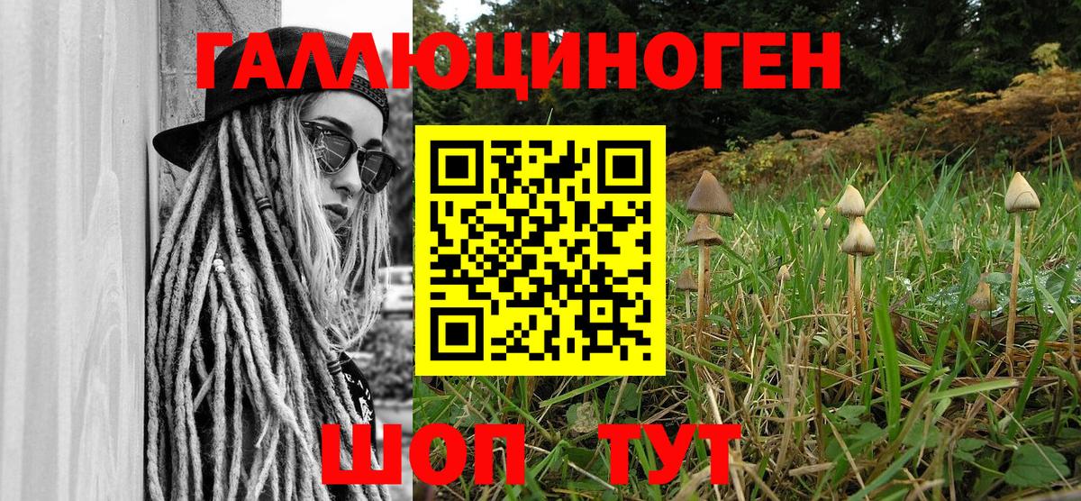 Галлюциногенные грибы мицелий Электрогорск